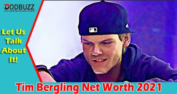 tim bergling foundation net worth