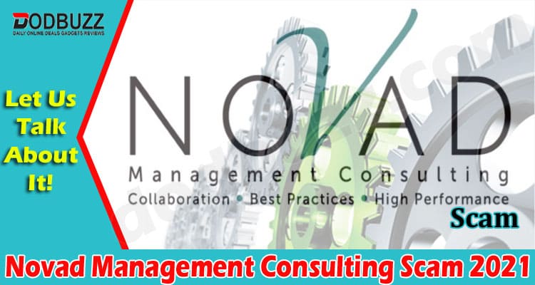 Novad Management Consulting Scam