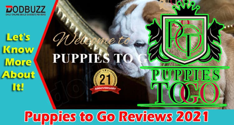 Puppies to Go Reviews {Sep 2021} Check the Full Details!