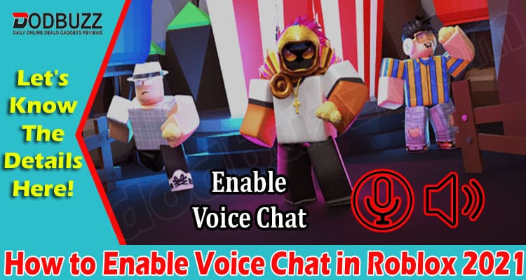 How To Enable Voice Chat In Roblox (Nov) Process Here!