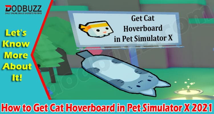 Gaming Tips Cat Hoverboard in Pet Simulator X