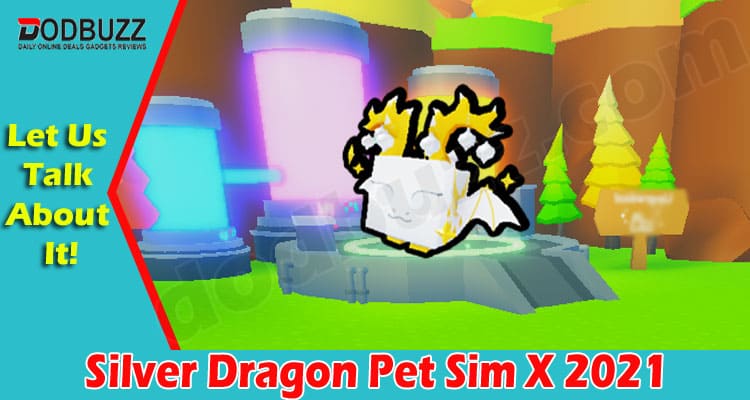 Silver Dragon Pet Sim X (Dec 2021) Detailed Categories!