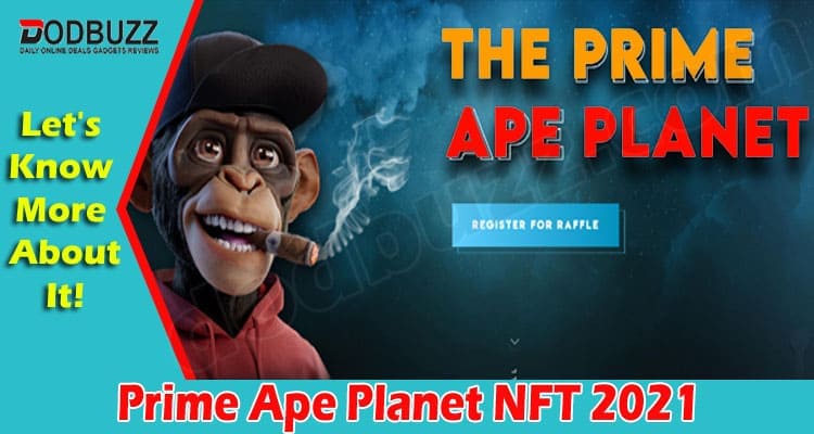 Latest News Prime Ape Planet NFT