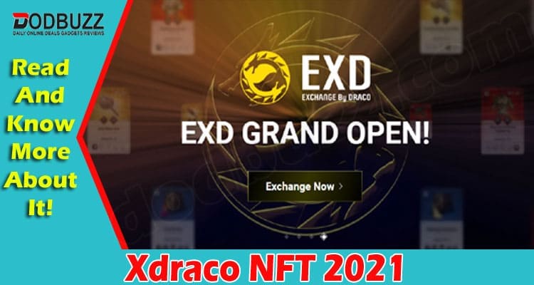 Xdraco NFT Dec 2021 A Physical Asset For Gaming!
