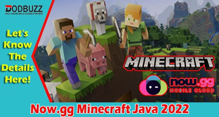 Now.gg Minecraft Java (March 2022) Find Out More Here!
