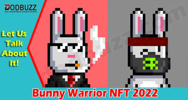 Latest News Bunny Warrior NFT
