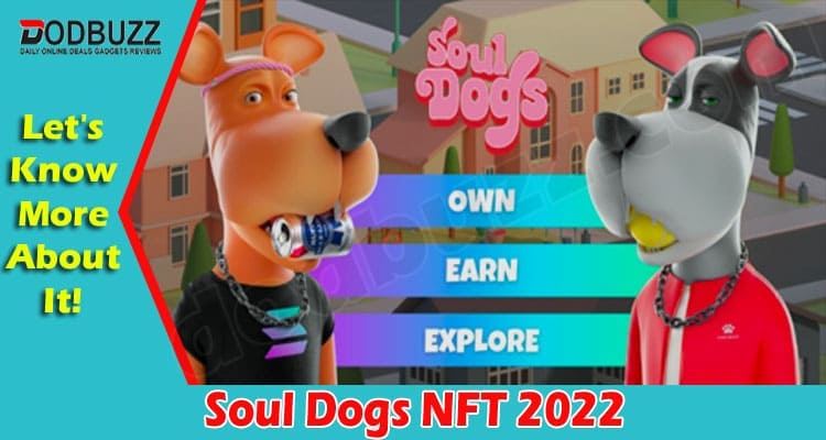 Soul Dogs NFT {Jan} Find Its Working, Buying Details!