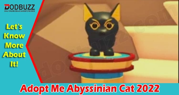 Gaming Tips Adopt Me Abyssinian Cat