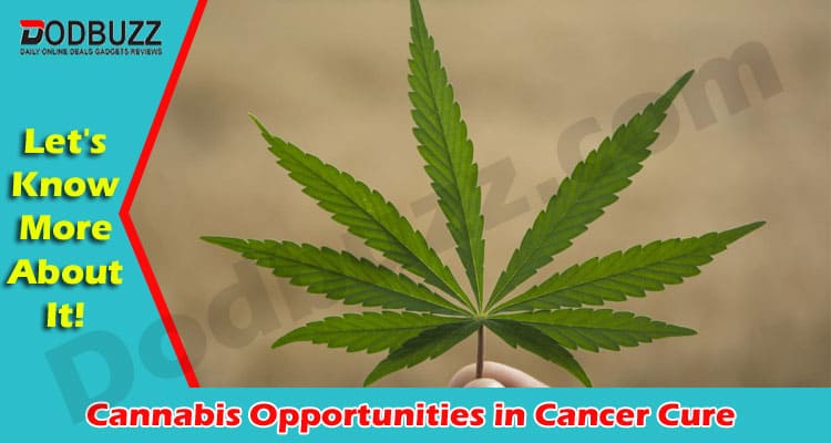 Latest News Cannabis Opportunities in Cancer Cure