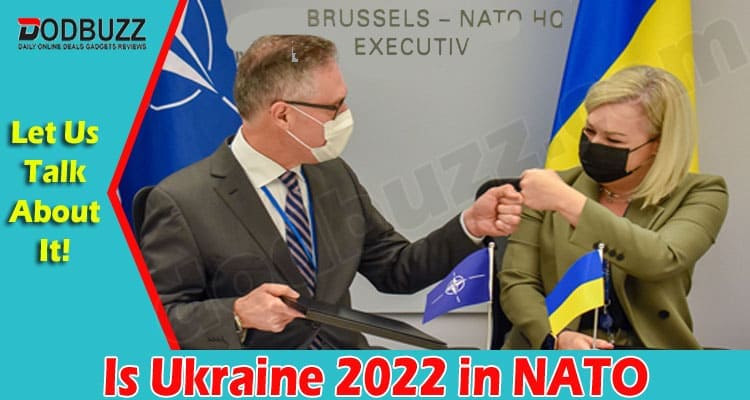 Latest News Is Ukraine 2022 in NATO