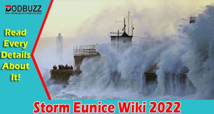 Latest News Storm Eunice Wiki