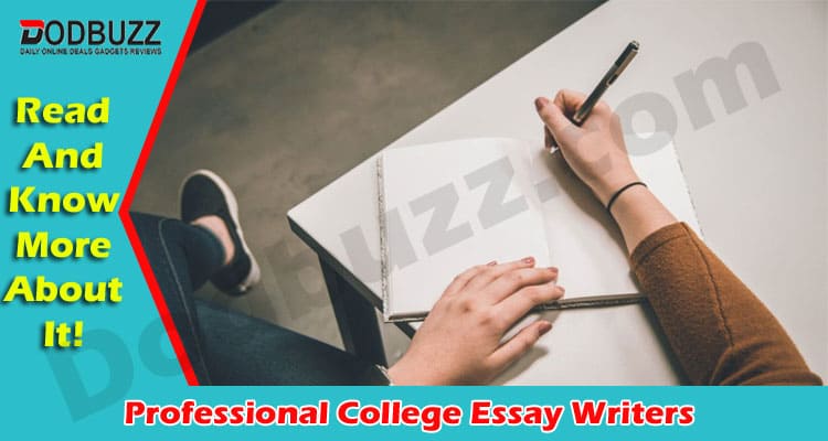 Latest Information Professional College Essay Writers