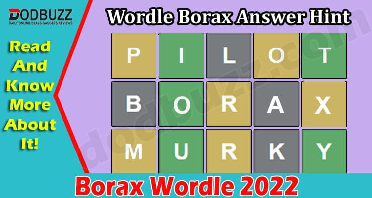 Gaming-Tips-Borax-Wordle