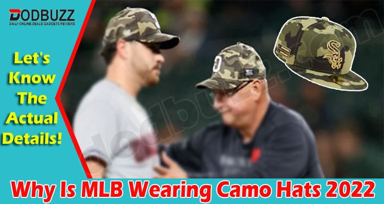 Why Is MLB Wearing Camo Hats {May 2022} Find Here!