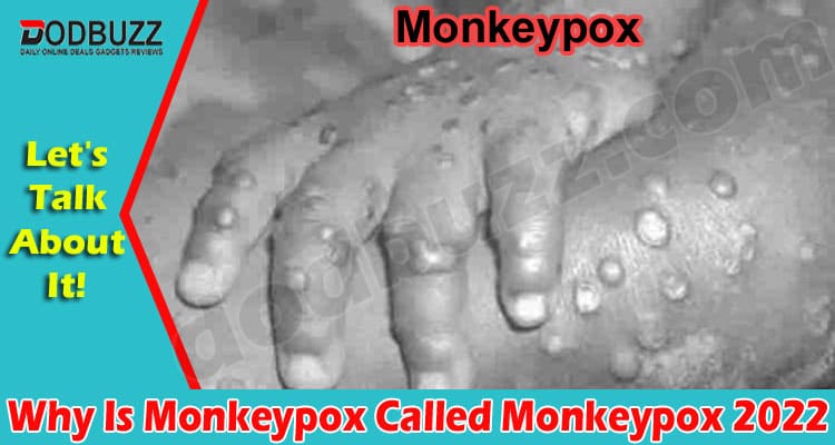 Latest News Why Is Monkeypox Called Monkeypox
