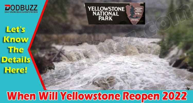 When Will Yellowstone Reopen {June} Curious? Know Here!