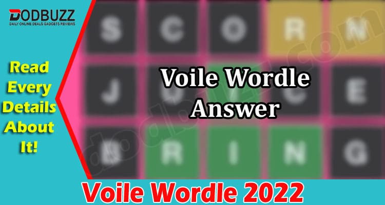 Voile Wordle {July 2022} Know Correct Solution & Hints!