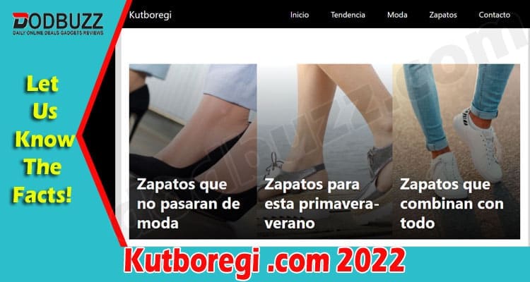 Latest News Kutboregi .com