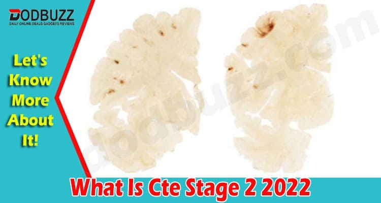 Latest News What Is Cte Stage 2