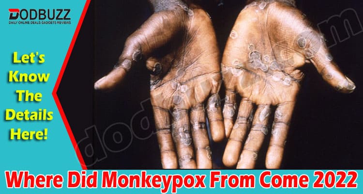 Latest News Where Did Monkeypox From Come
