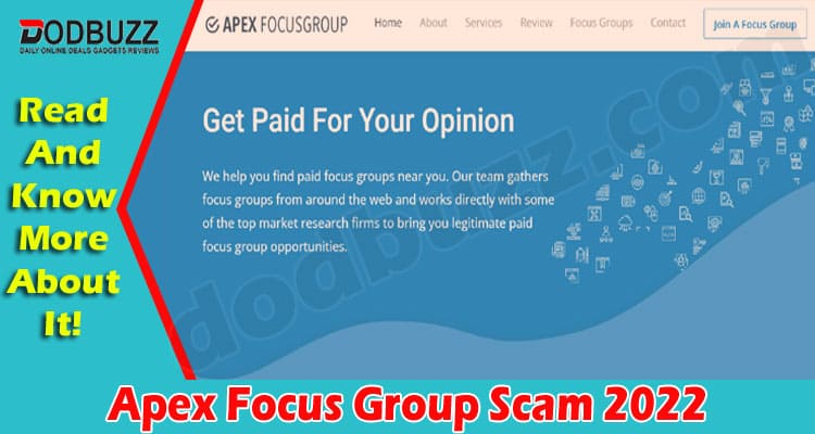 Latest News Apex Focus Group Scam