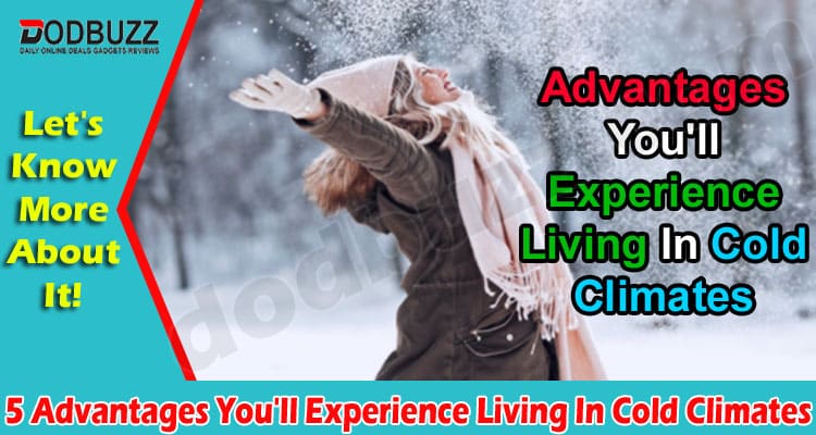 Top 5 Advantages You'll Experience Living In Cold Climates