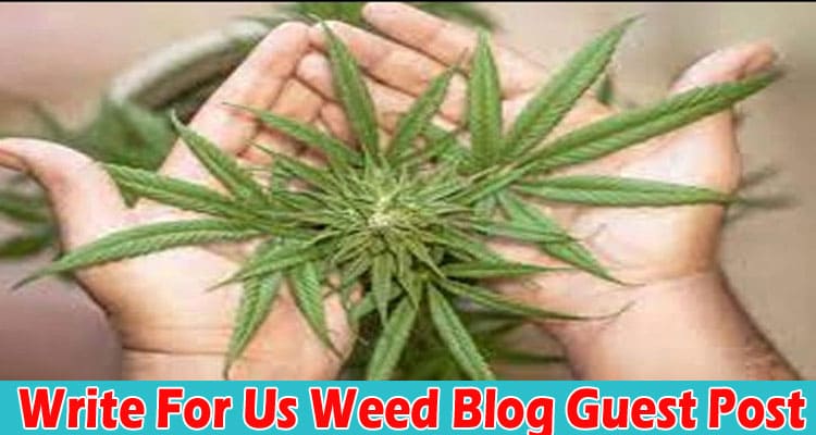 About General Information Write For Us Weed Blog Guest Post