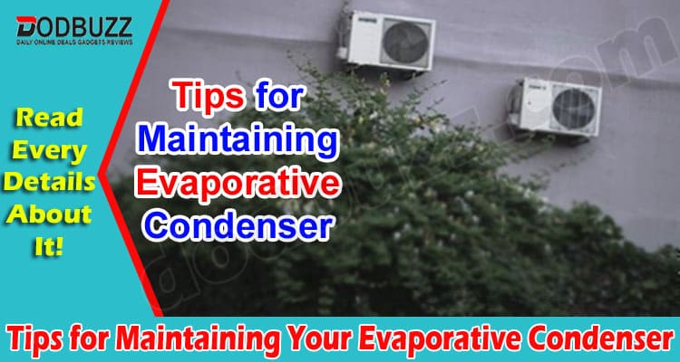 Best Tips Tips for Maintaining Your Evaporative Condenser