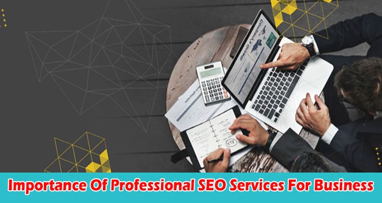 Importance Of Professional SEO Services For Business