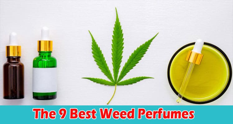 The 9 Best Weed Perfumes