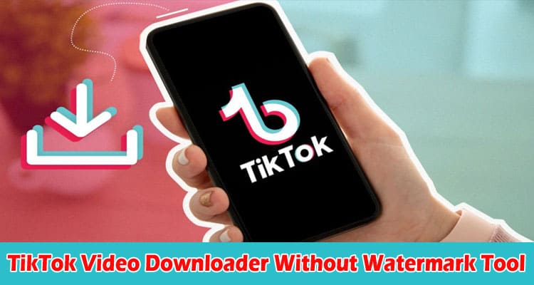 Use TikTok Video Downloader Without Watermark Tool for Watermark-Free Videos