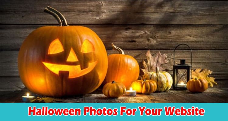 Advantages Of Using Halloween Photos For Your Website