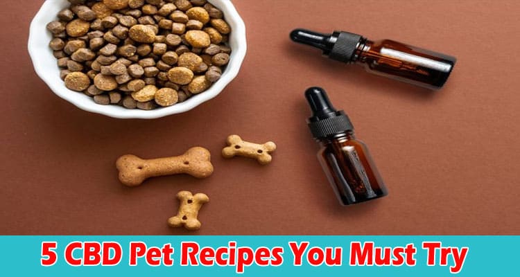 Top 5 CBD Pet Recipes You Must Try