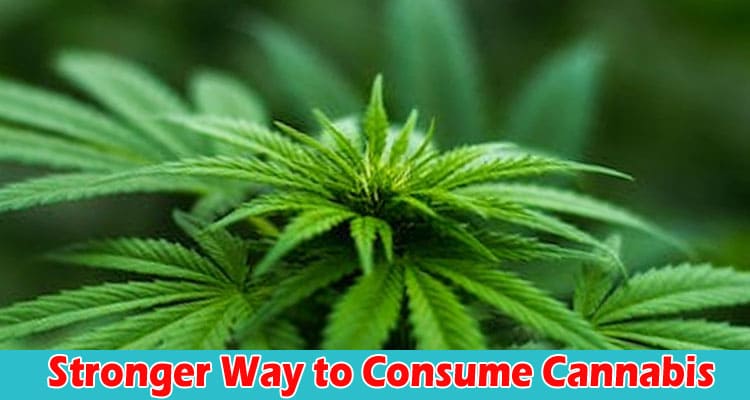Are You Looking for a Stronger Way to Consume Cannabis