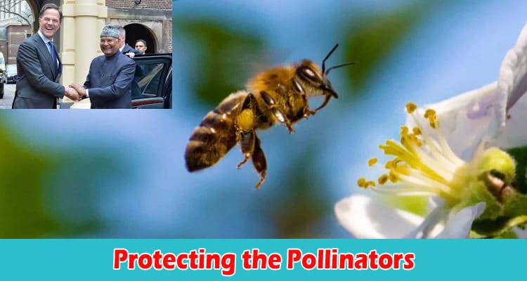 Complete Information Protecting the Pollinators