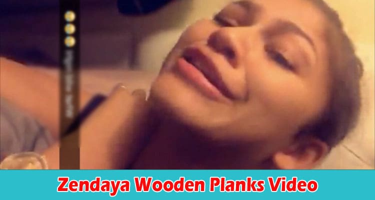 Latest News Zendaya Wooden Planks Video