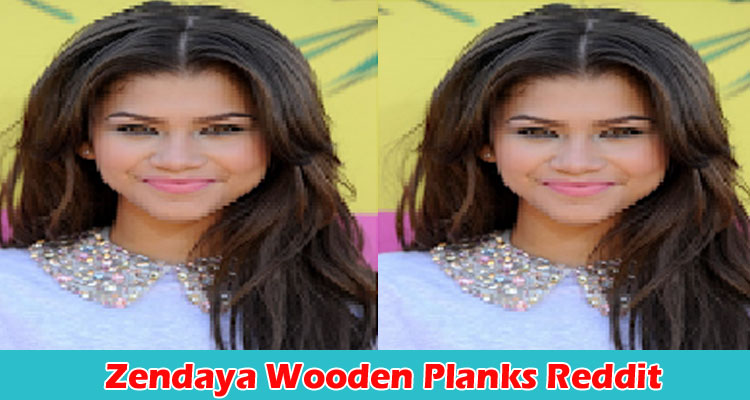 latest-news Zendaya Wooden Planks Reddit