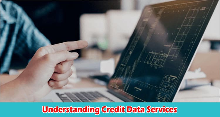 A Beginner's Guide to Understanding Credit Data Services