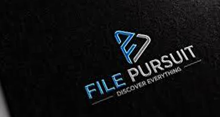 Filepursuit Website How to use