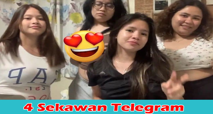 4 Sekawan Telegram: Check If Original Video Link Still Available On TWITTER, TIKTOK, Instagram, YOUTUBE, And Reddit