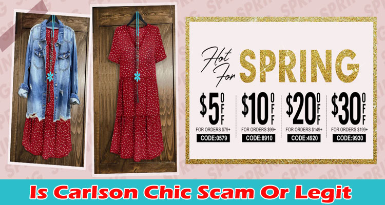 Carlson Chic online website reviews