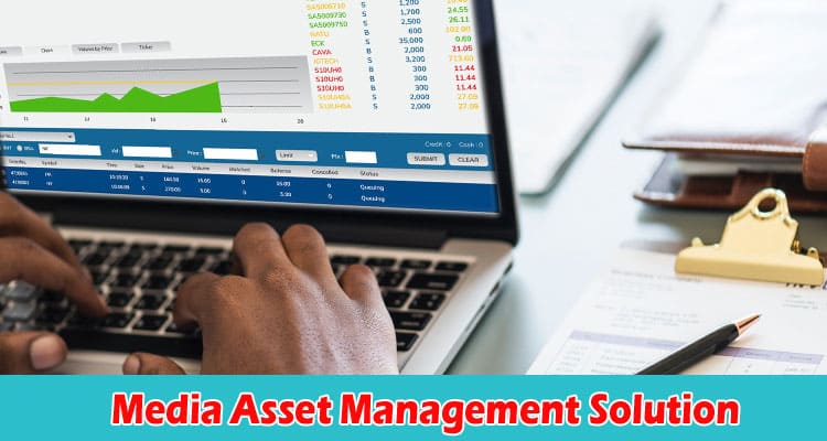Factors To Consider When Choosing A Media Asset Management Solution For Your Business
