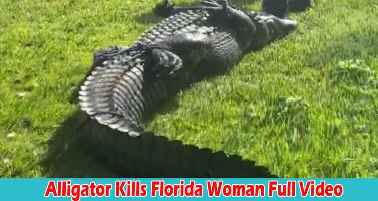 Latest News Alligator Kills Florida Woman Full Video