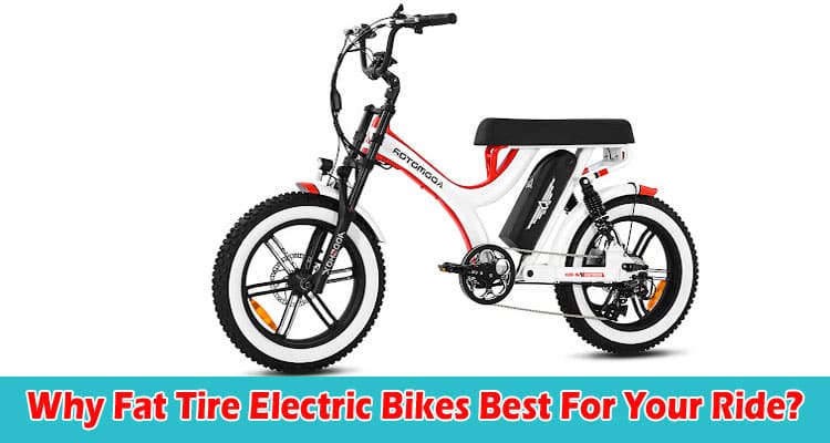 Why Fat Tire Electric Bikes Best For Your Ride