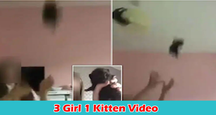 Latest News 3 Girl 1 Kitten Video