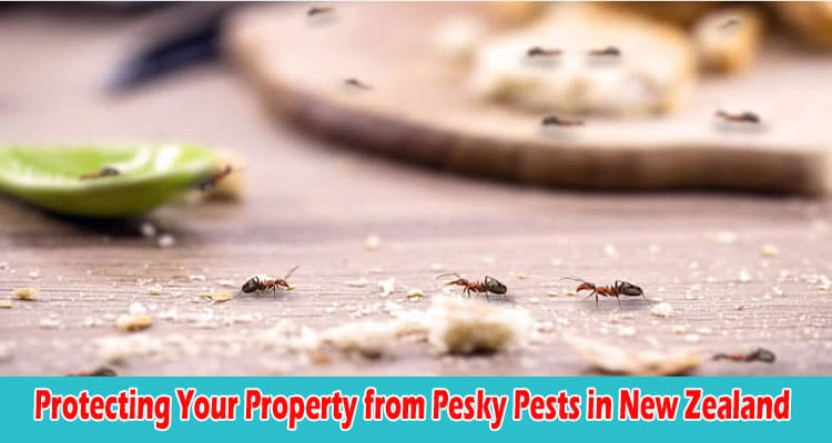 Protecting Your Property from Pesky Pests in New Zealand