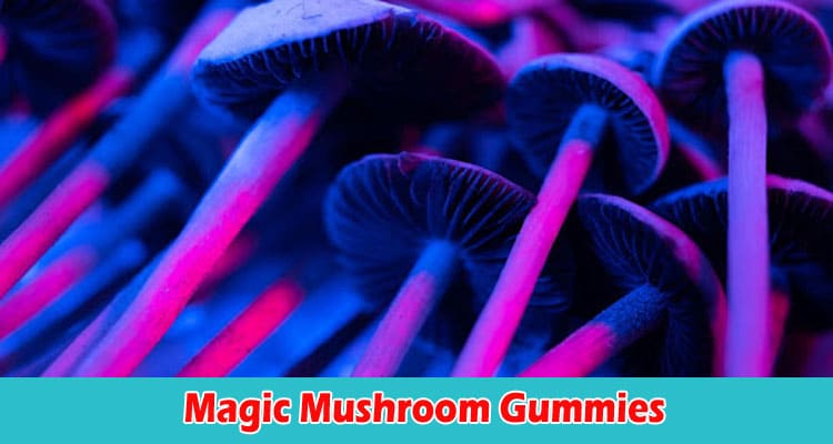 Top 6 Interesting Facts About Magic Mushroom Gummies