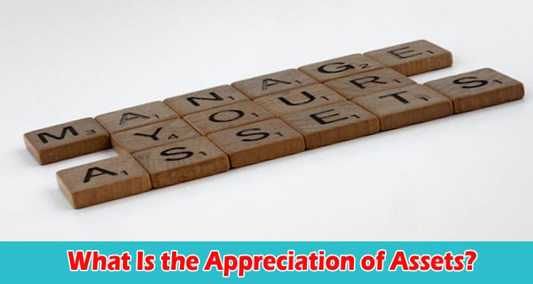 What Is the Appreciation of Assets