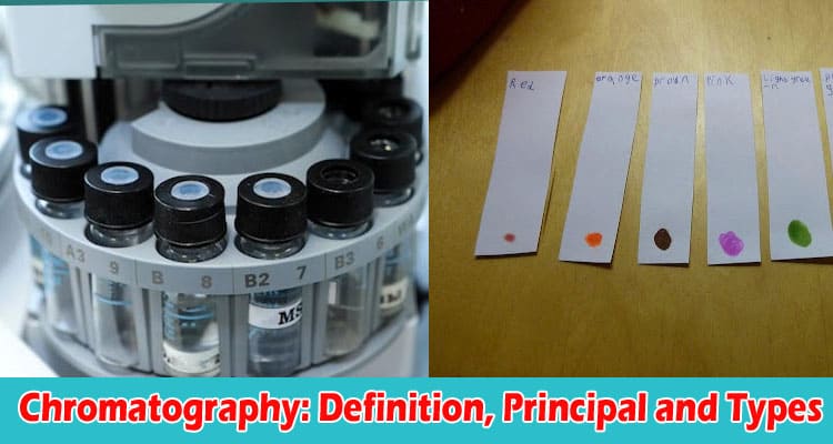 Complete Info Chromatography Definition, Principal and Types