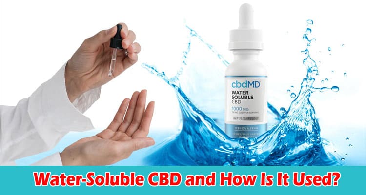 What Is Water-Soluble CBD and How Is It Used